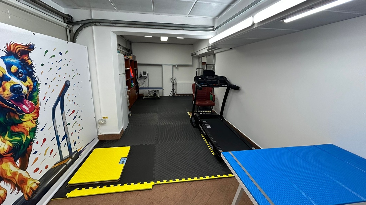 WhatsApp Image 2025-10-30 at 12.04.28_5a87638f