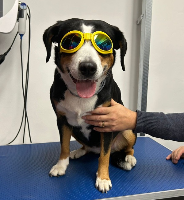 WhatsApp Image 2025-10-30 at 12.04.38_3c48054c