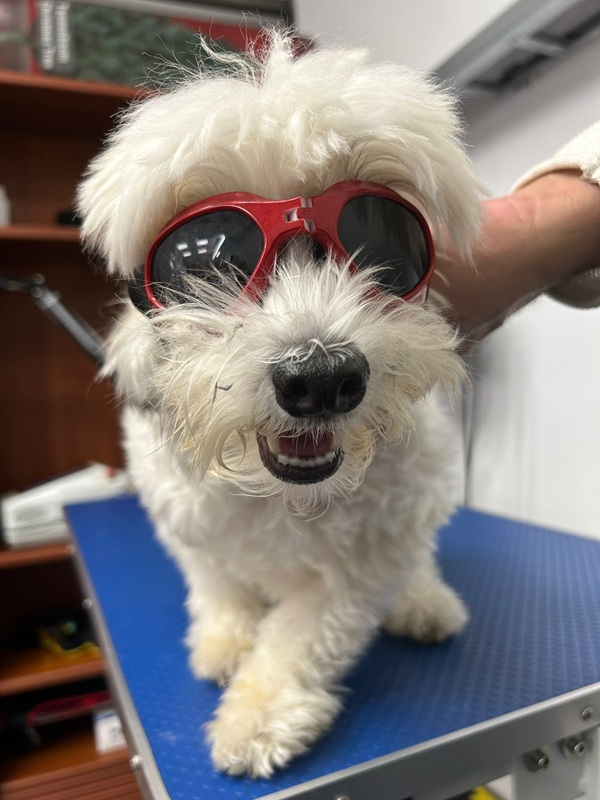 WhatsApp Image 2025-10-30 at 12.04.38_88b1393a