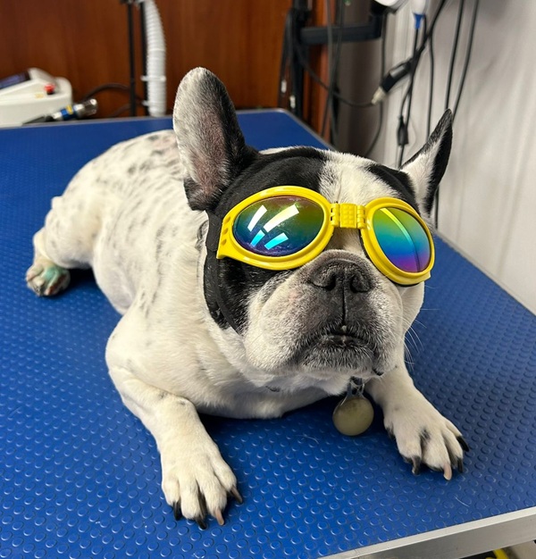 WhatsApp Image 2025-10-30 at 12.04.38_f809574f