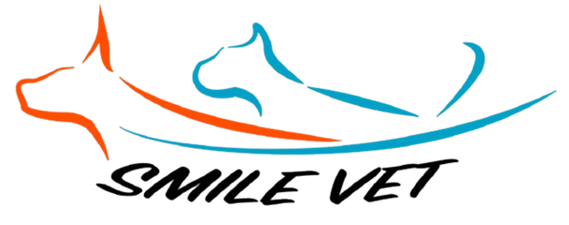 smilevet